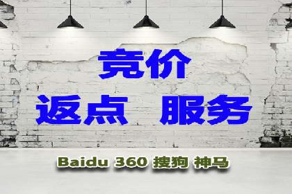 电商平台的关键词竞价排名：销售增长的秘诀